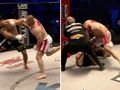 Przerażający nokaut Pudziana. Sędzia w trybie pilnym zakończył walkę
