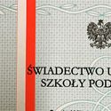 Zobacz galerię