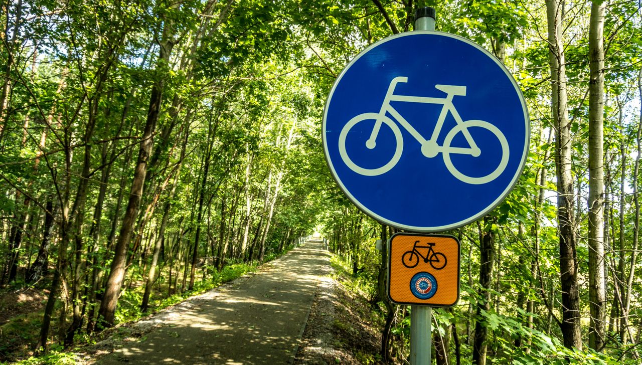 Żelazny Szlak Rowerowy – odkryj najpiękniejszą trasę pogranicza Polski i Czech