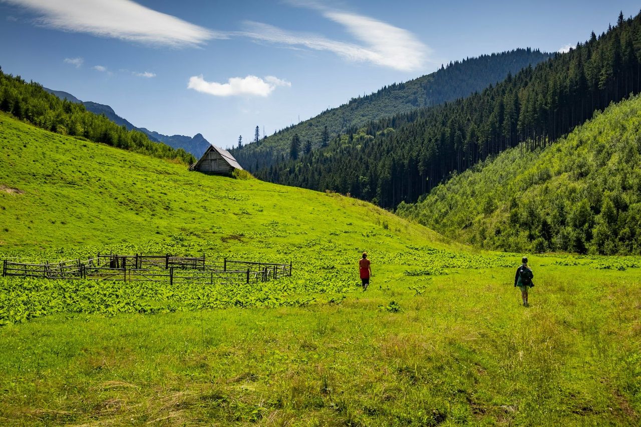 Tatry w szczycie sezonu bez tłumów? Urokliwa Dolina Lejowa [zdjęcia]