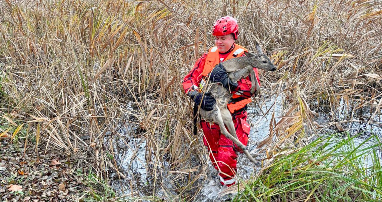 Rozpaczliwe piski spod pomostu. Strażacy uratowali życie maleństwa