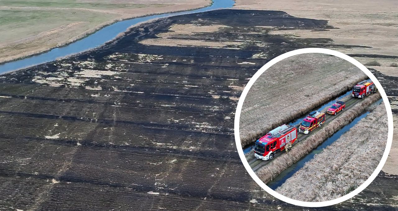 Ogromny pożar łąk pod Strzelcami. Spłonęło 31 hektarów