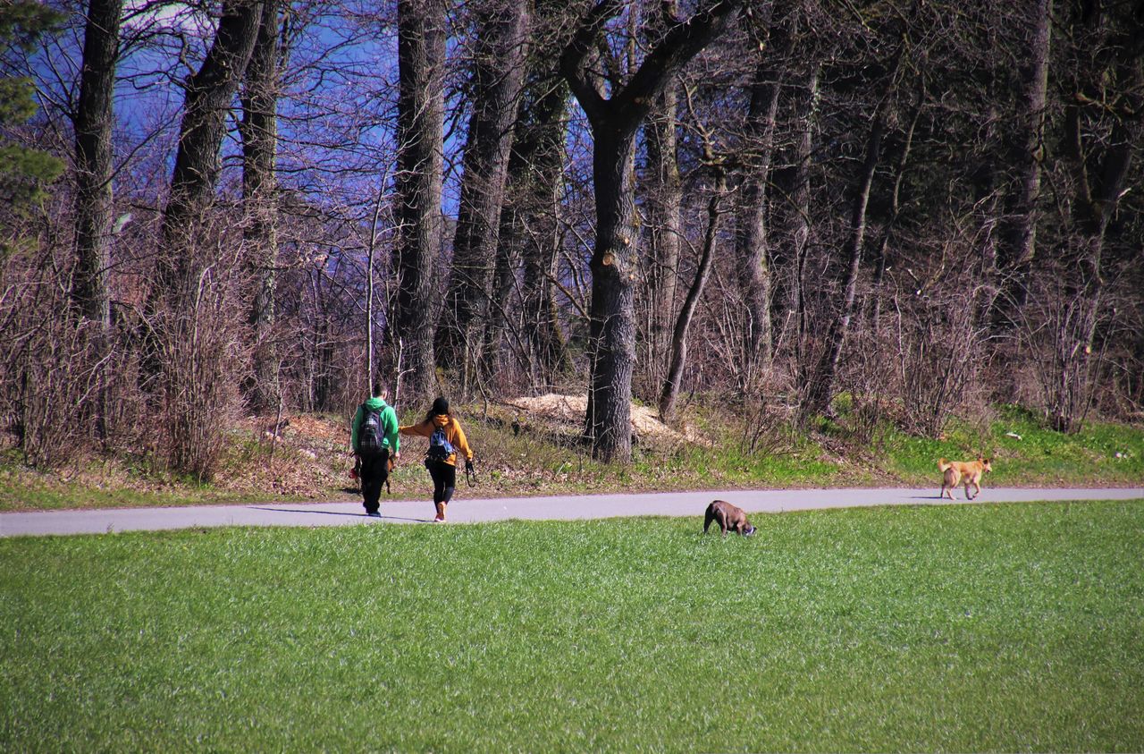 Przyjdź, poznaj, adoptuj. Wyjątkowy spacer w Płocku