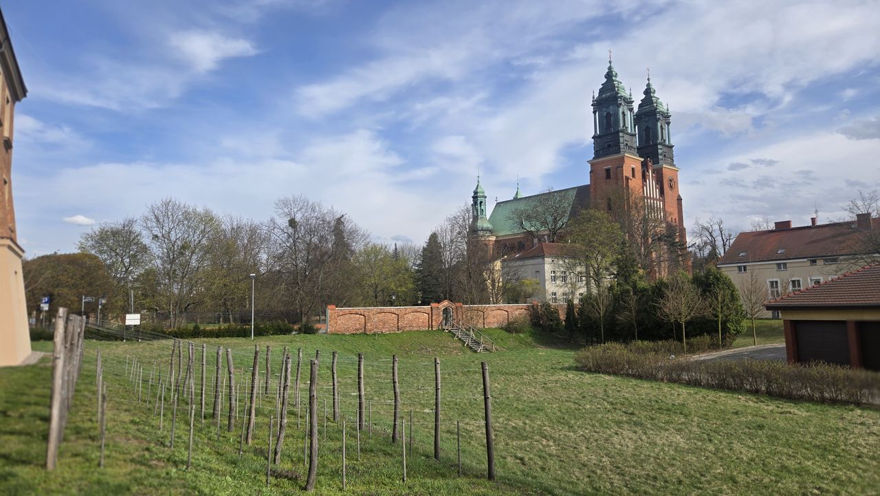 Ostrów Tumski jakiego nie znasz. Historyczny spacer śladami władzy i konfliktów