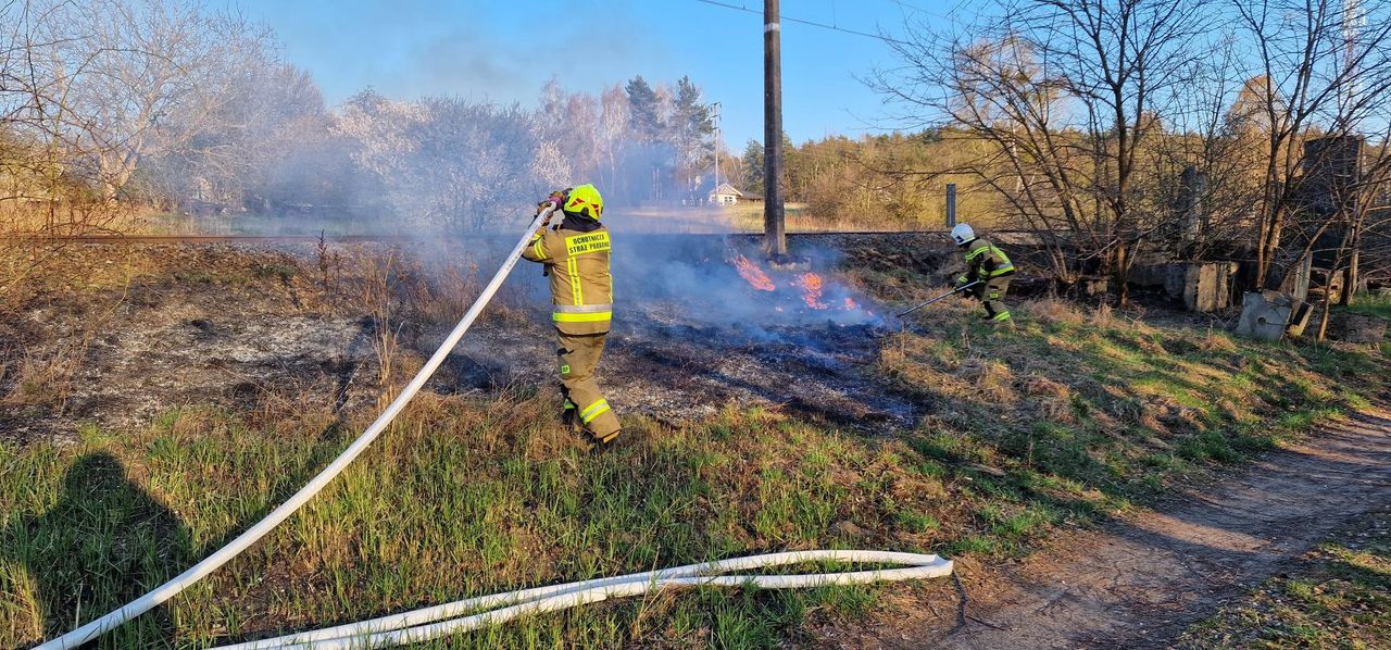 Pożar przy torach w Chodzieży! Ogień objął setki metrów traw