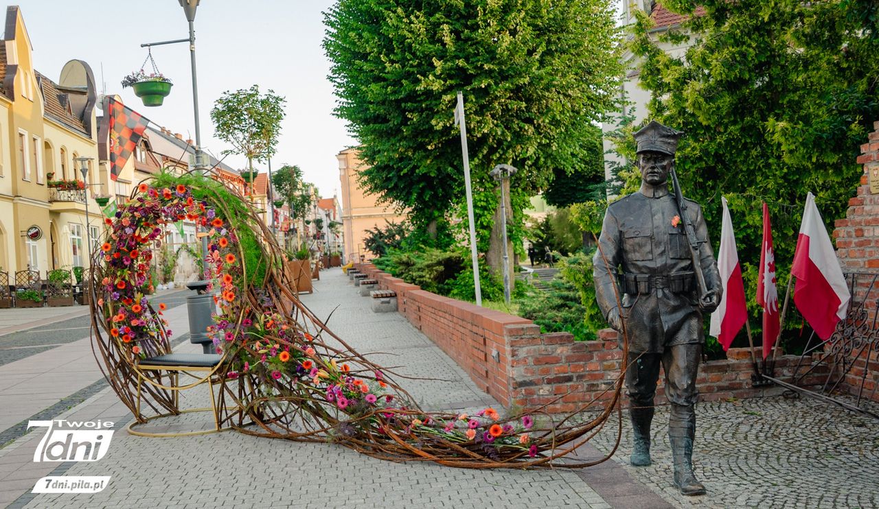 Czarnków rozkwitł. Takich kompozycji kwiatowych jeszcze nie widzieliście