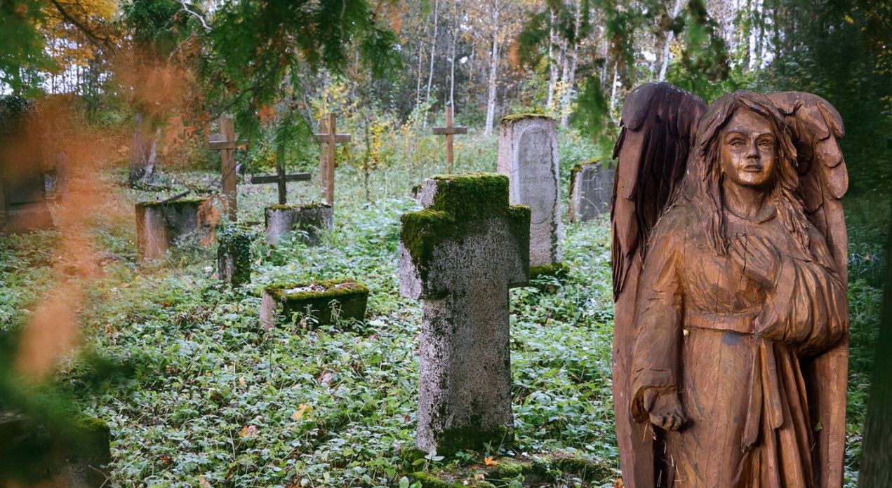 Stary cmentarz ewangelicki w Pleceminie. Zapomniane miejsce z duszą