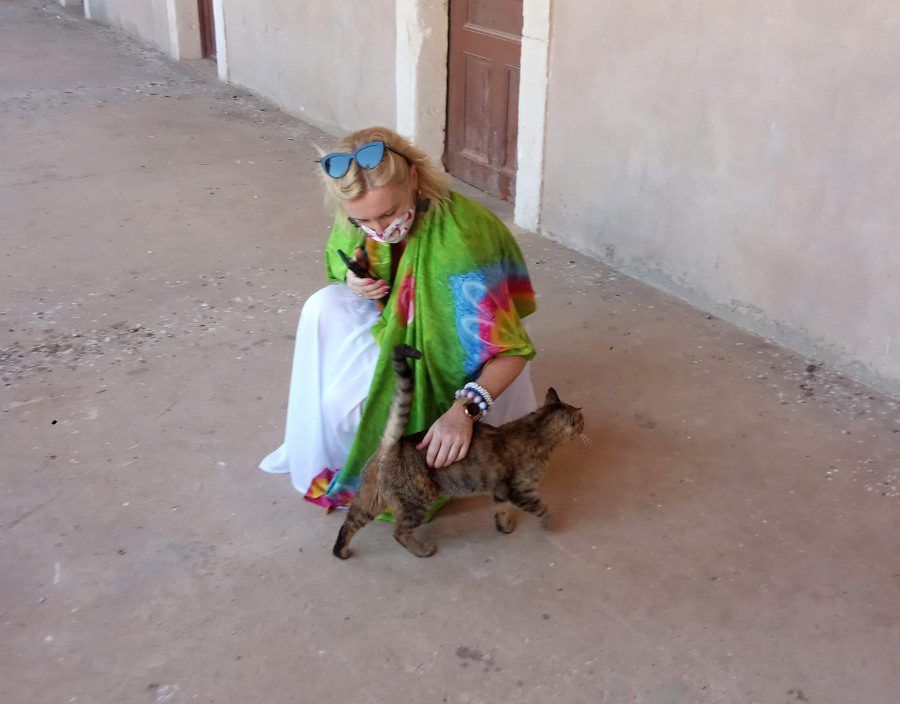 Kot naturalnym antybiotykiem? Nowe badanie potwierdza dobroczynne „działanie” kotów!