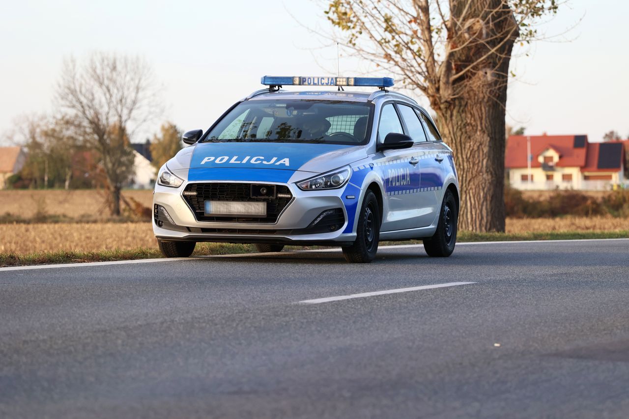 Nietypowy wypadek w Chmielniku. Sarna wbiegła pod auto, ucierpiał rowerzysta