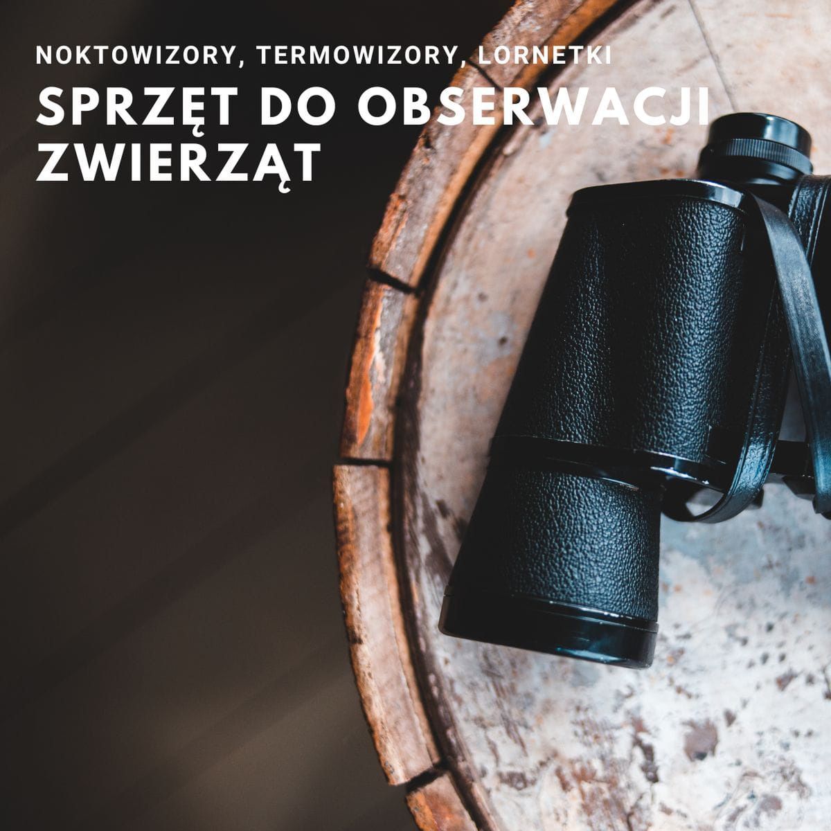 Noktowizory, termowizory, lornetki – sprzęt do obserwacji zwierząt – przewodnik