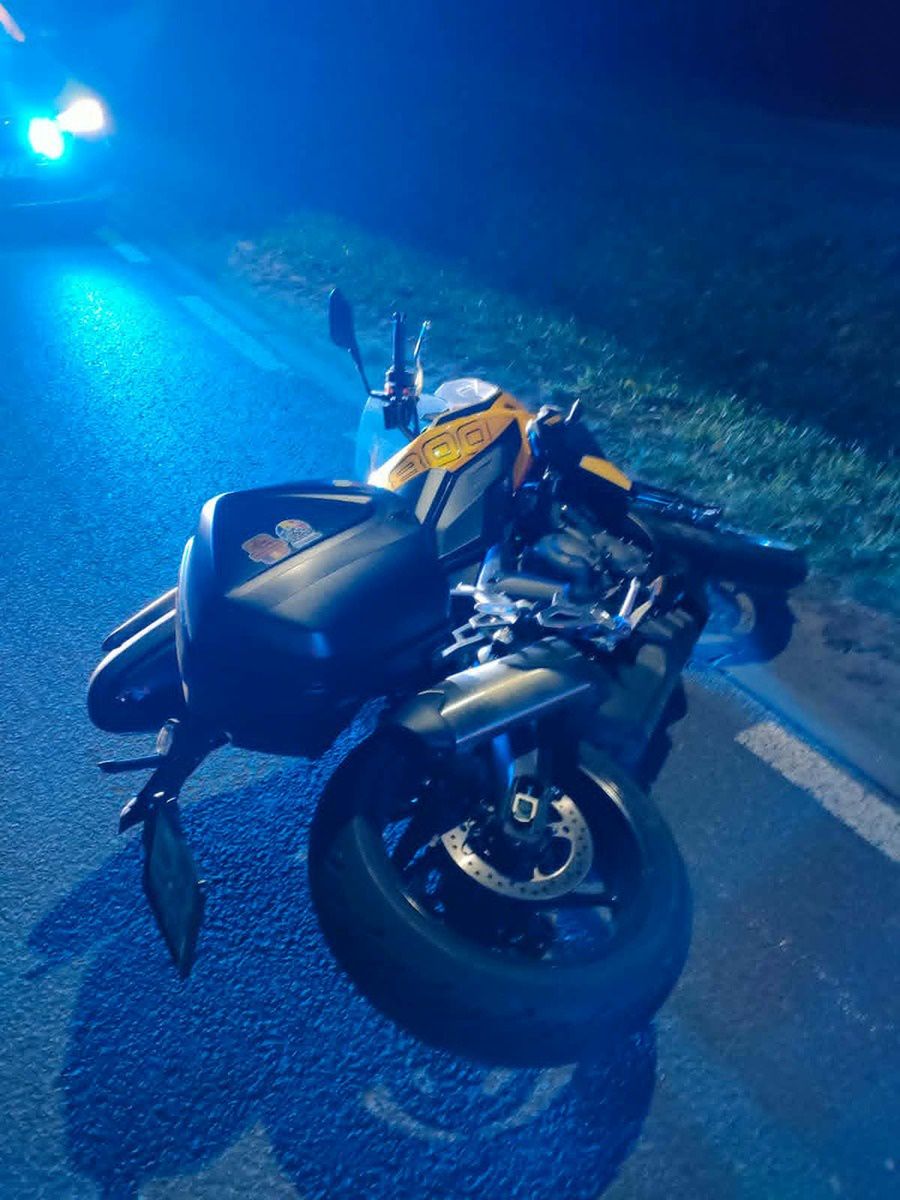 Niebezpieczny wypadek w Brwilnie. 28-latek uderzył w dzikie zwierzę