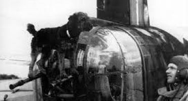 Pies Ciapek. Jak bezpański piesek został legendą 305. Dywizjonu