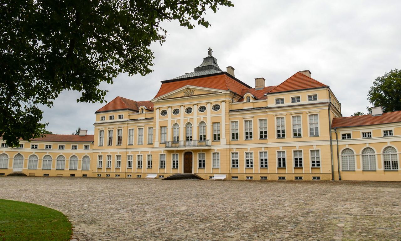 Rogalin: pałac, dęby i tajemnice, o których nie słyszałeś