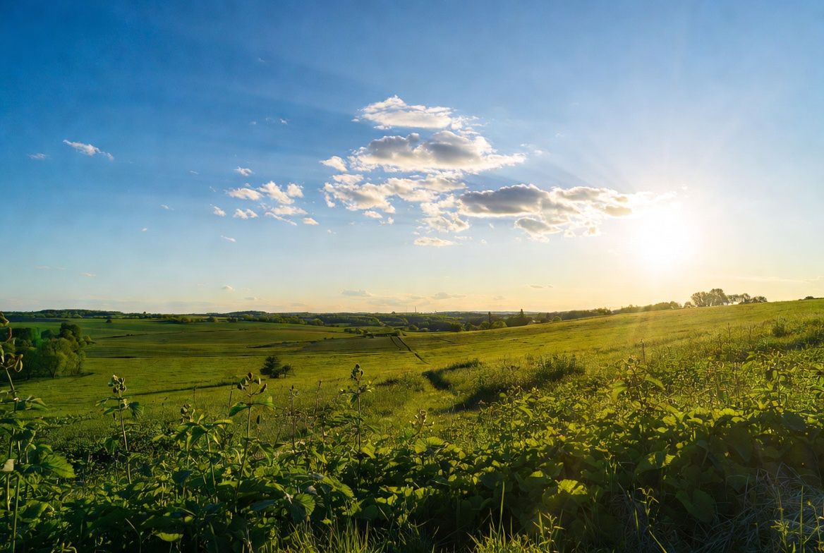 Pogoda na Majówkę 2026 w Pile i okolicy. To będzie prawdziwe uderzenie lata!