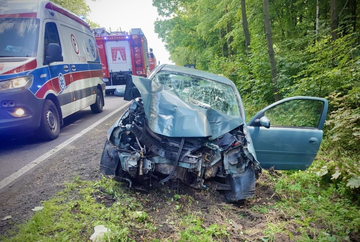 Pijana 21-latka doprowadziła do wypadku na DK10
