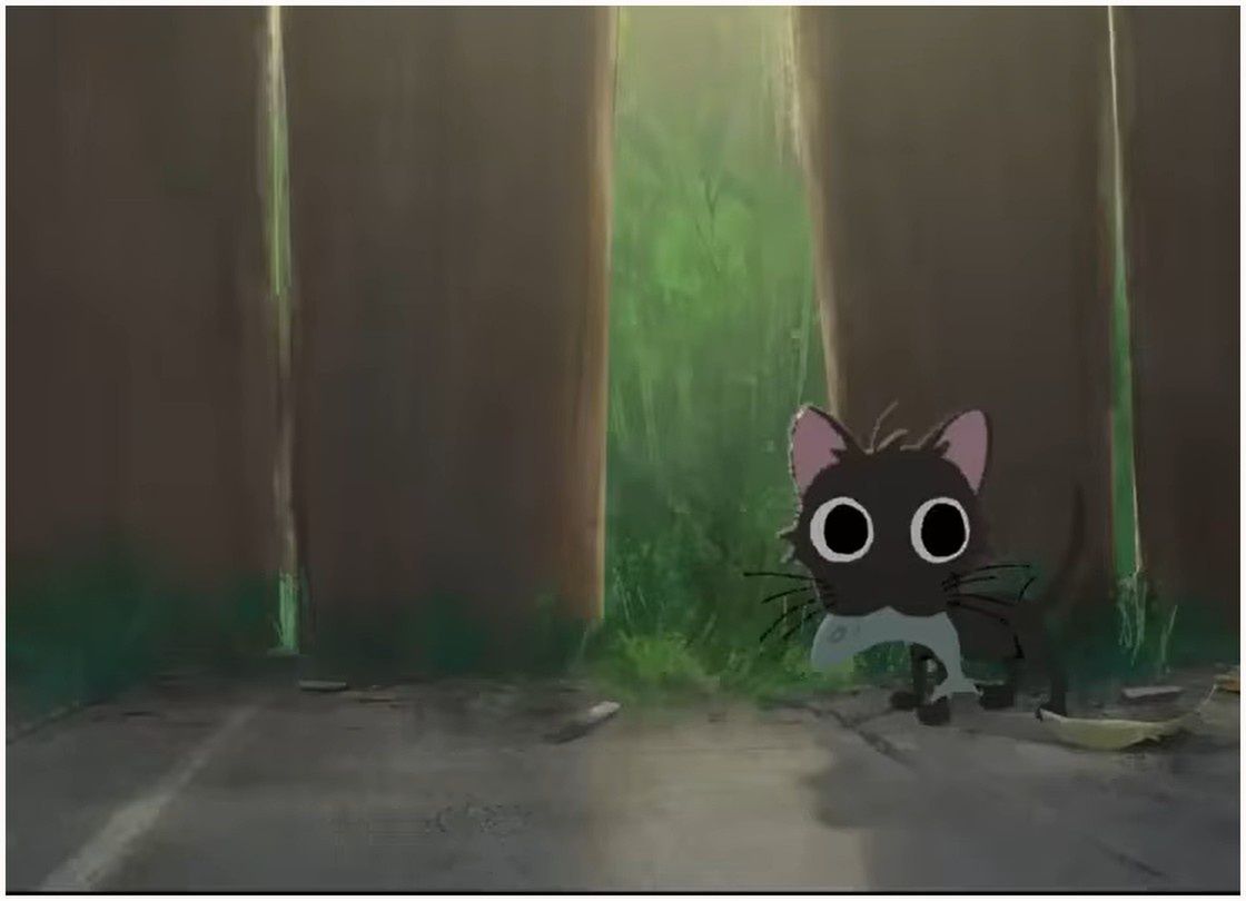 Koty na ekranie. Mistrzowska animacja