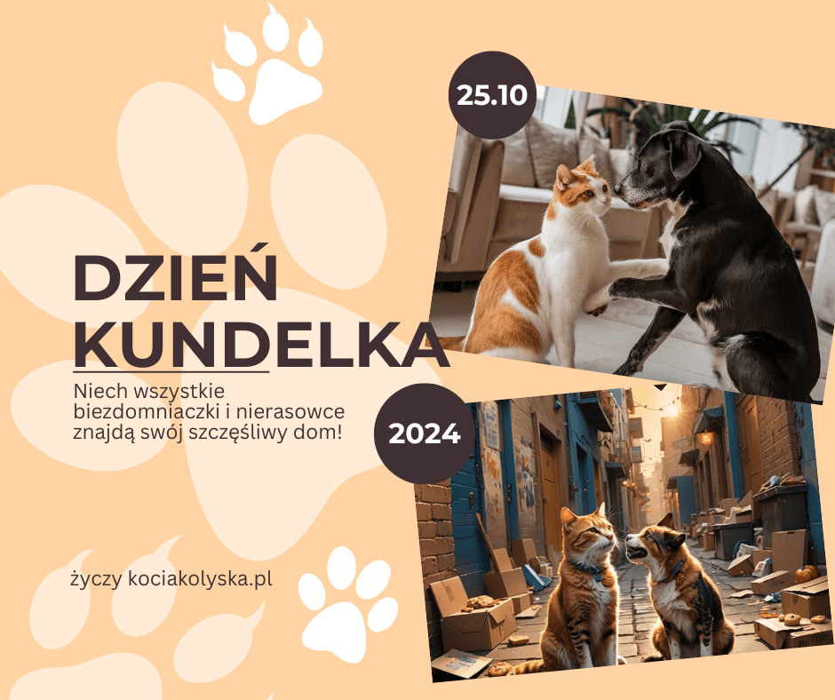 Dzień Kundelka. Koty i Kociarze życzą Wam…