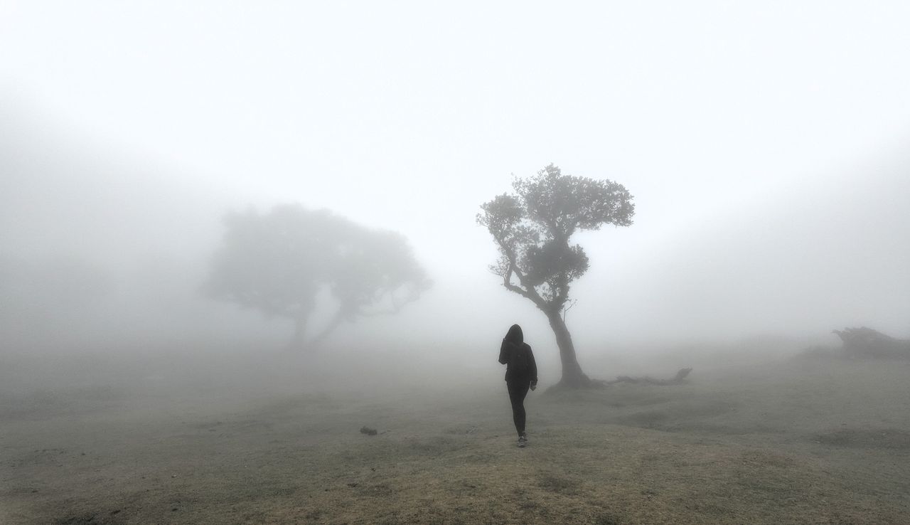 Las Fanal na Maderze. To miejsce wygląda jak z horroru