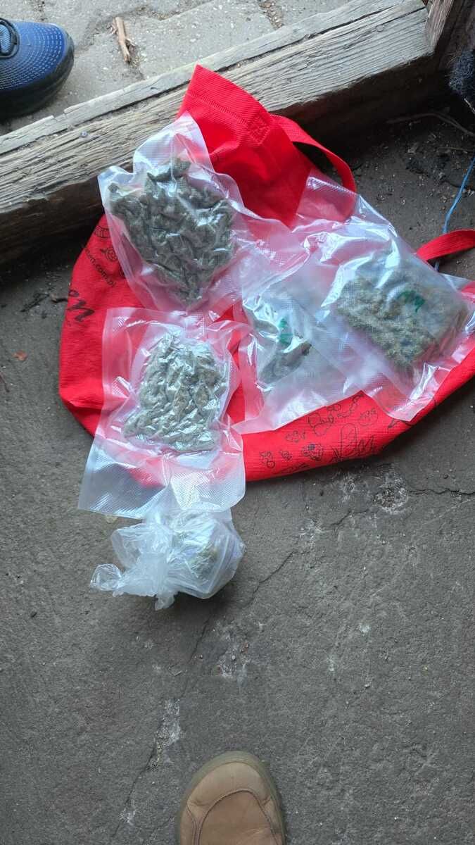 Narkotyki w gołębniku. 29-latek z Piaseczna wpadł z dużą ilością marihuany