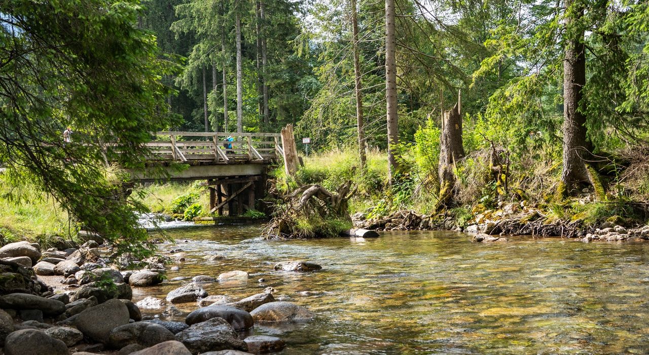Wybierasz się w Tatry? Tym popularnym szlakiem nie przejdziesz