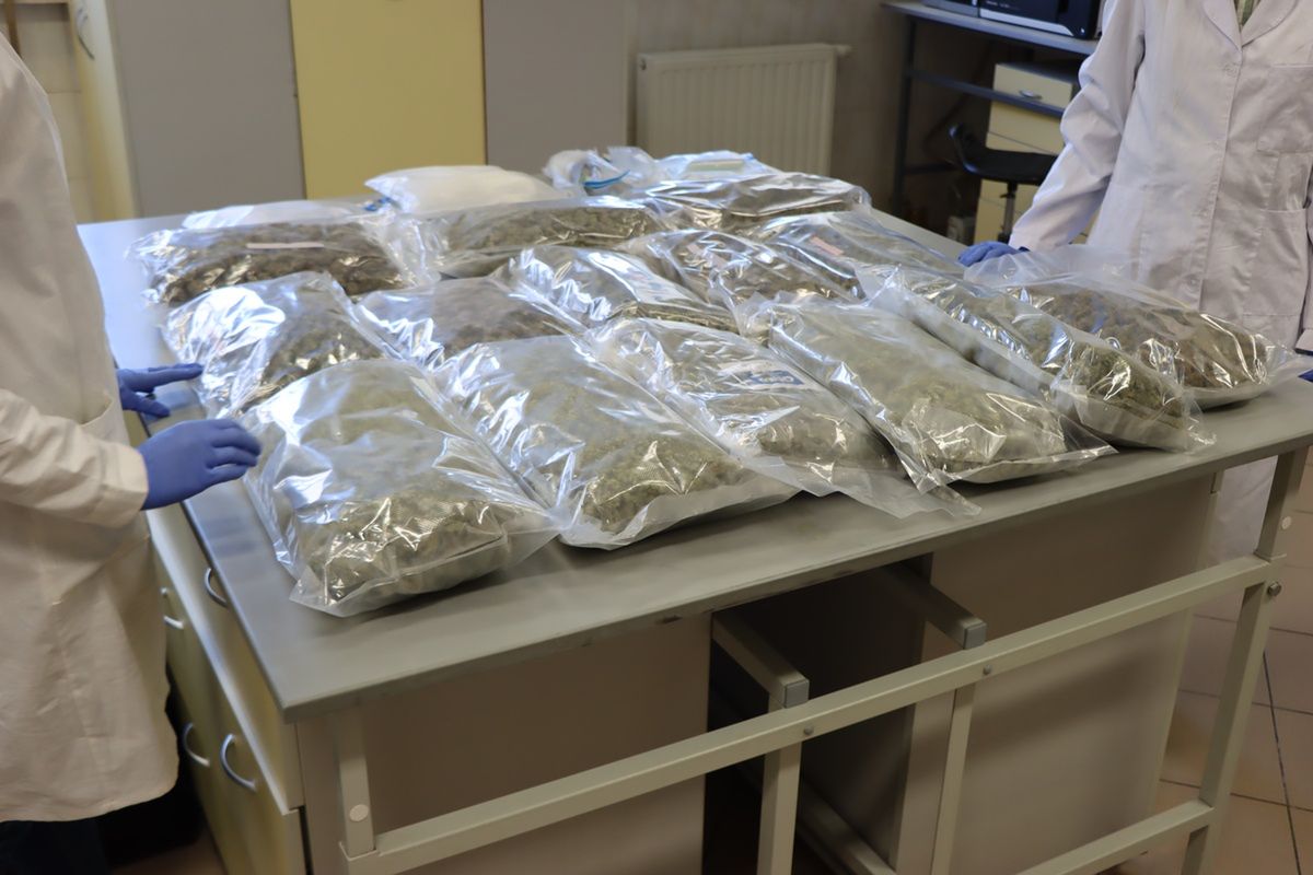 Policja przejęła 20 kg narkotyków. Czarnorynkowa wartość to około 2 mln zł