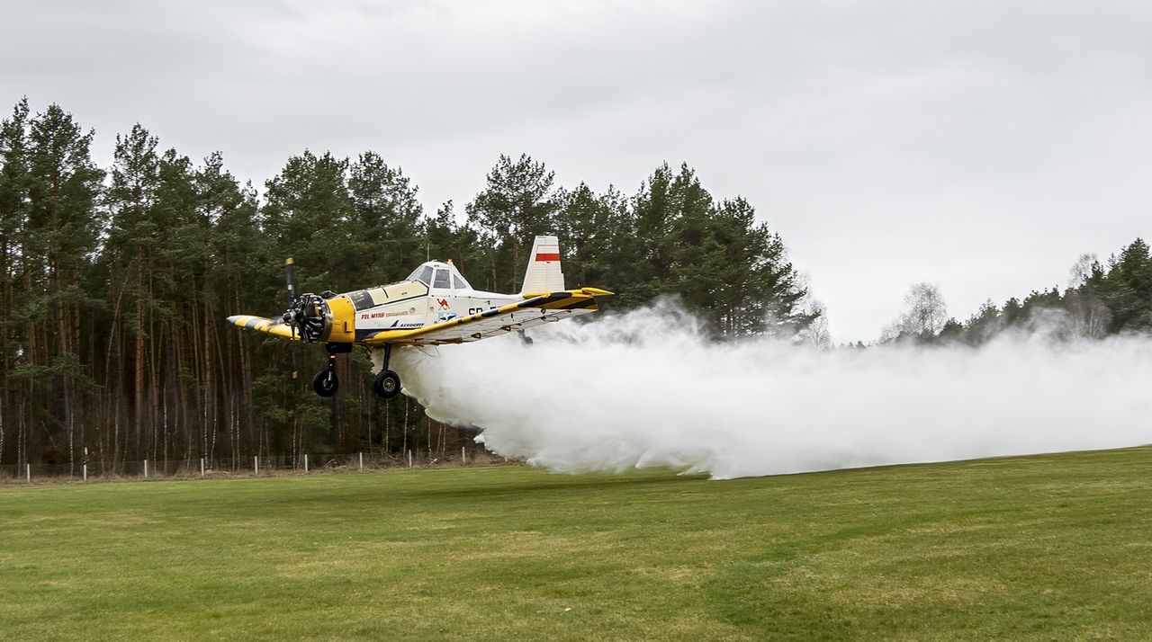 Dromadery wróciły do pilskich lasów. Rusza sezon ochrony przeciwpożarowej
