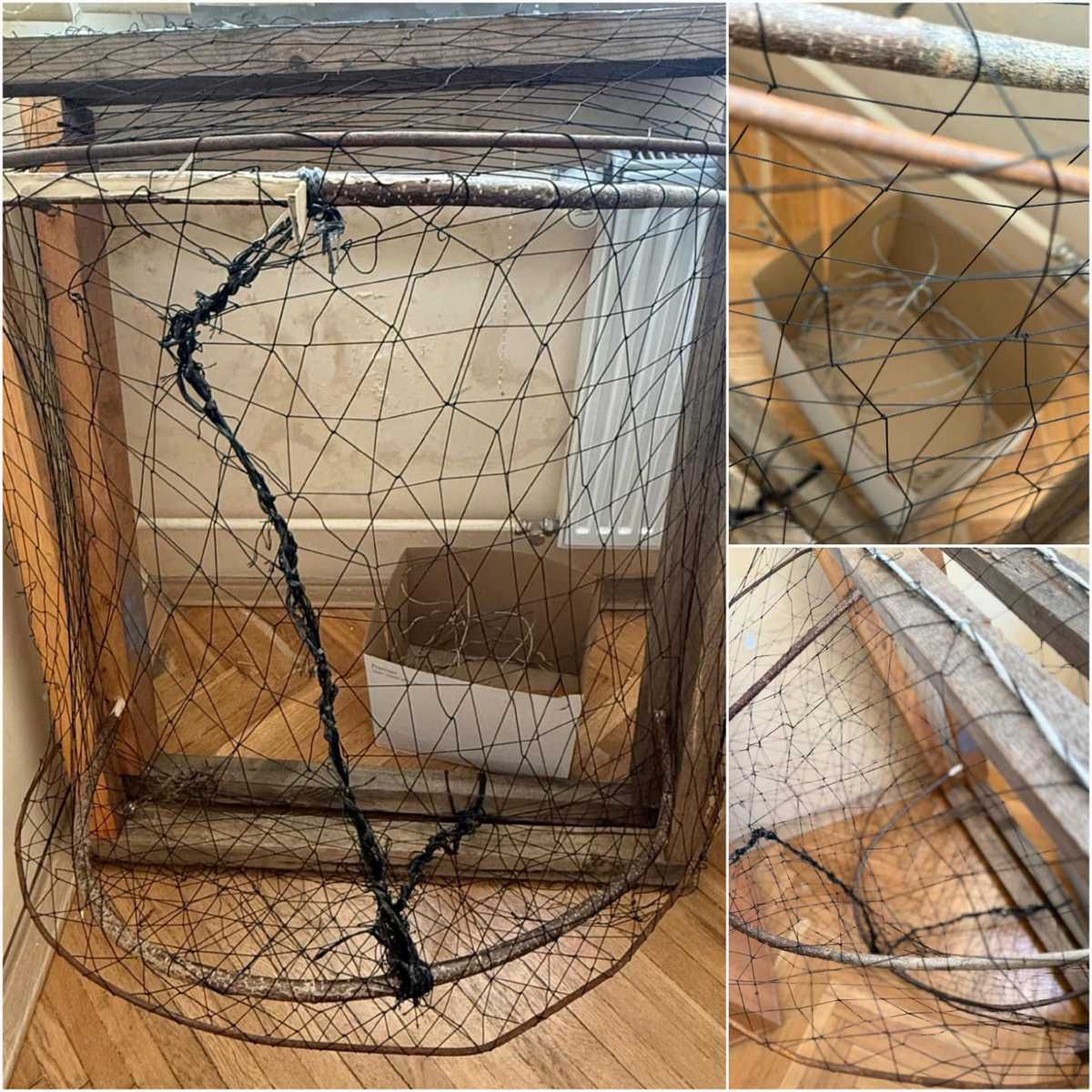 Wspólna akcja służb: podejrzenie kłusownictwa w gminie Michów. Zabezpieczono wnyki i pułapki