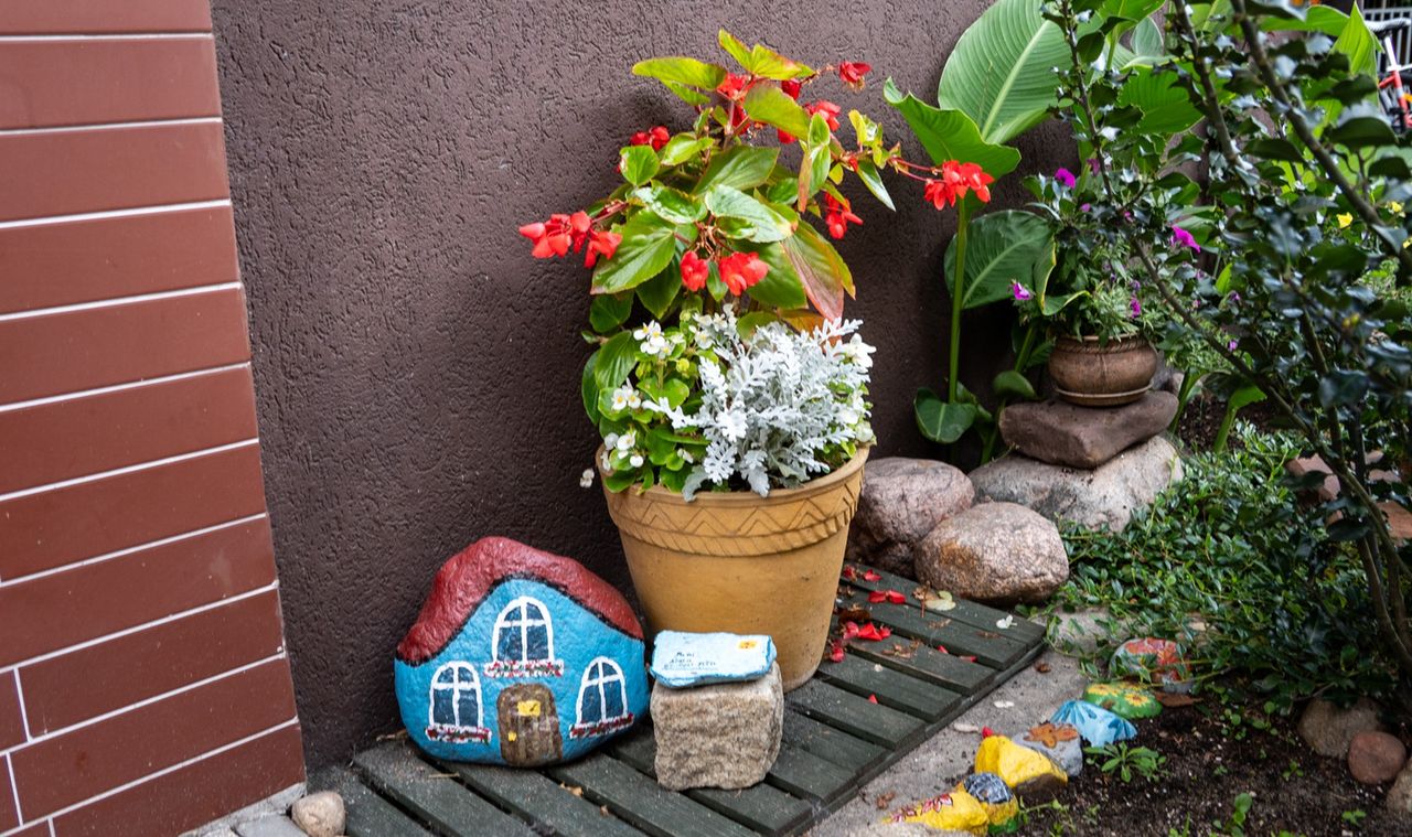 Zaczarowany ogród w centrum Piły. Magiczne miejsce ukryte za furtką