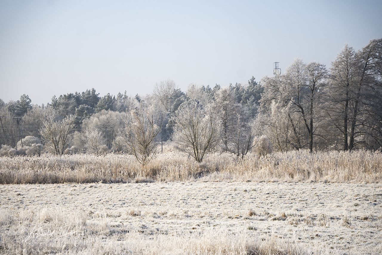 Magia zimowego poranka nad Gwdą – mroźne piękno Piły