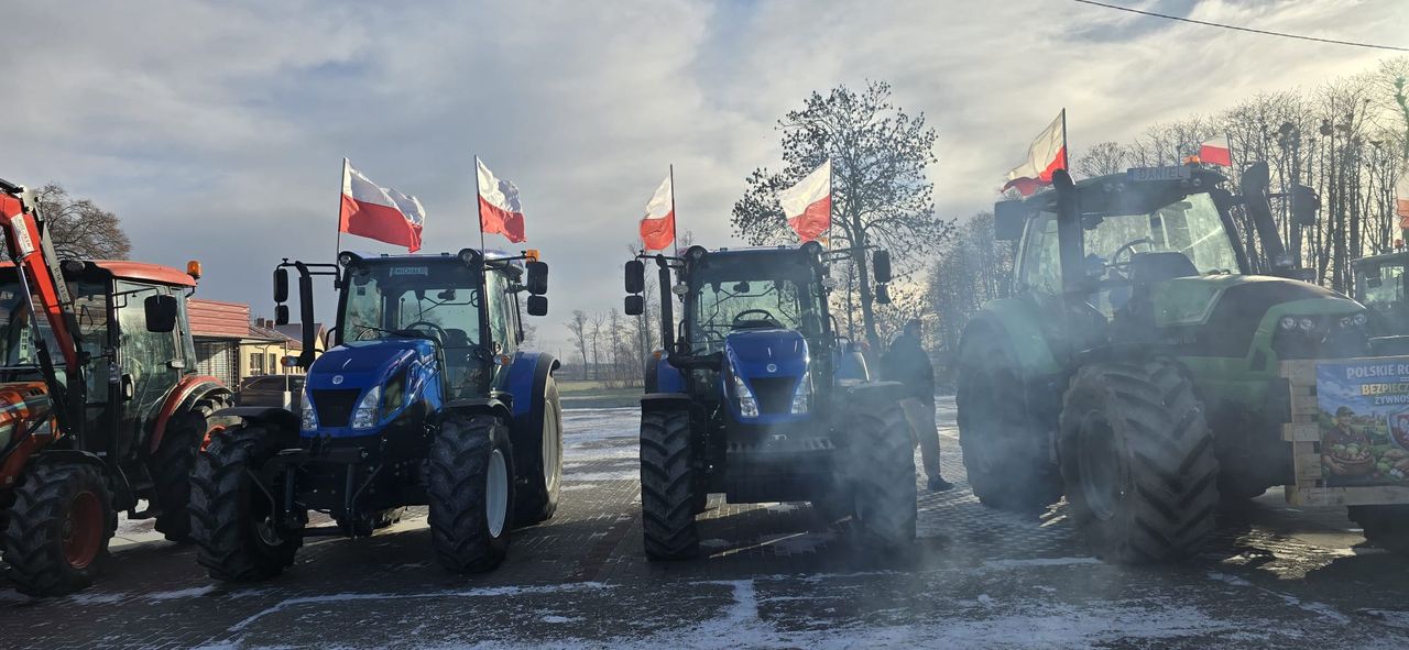 O co chodzi z umową Mercosur? Prawniczka wyjaśnia!