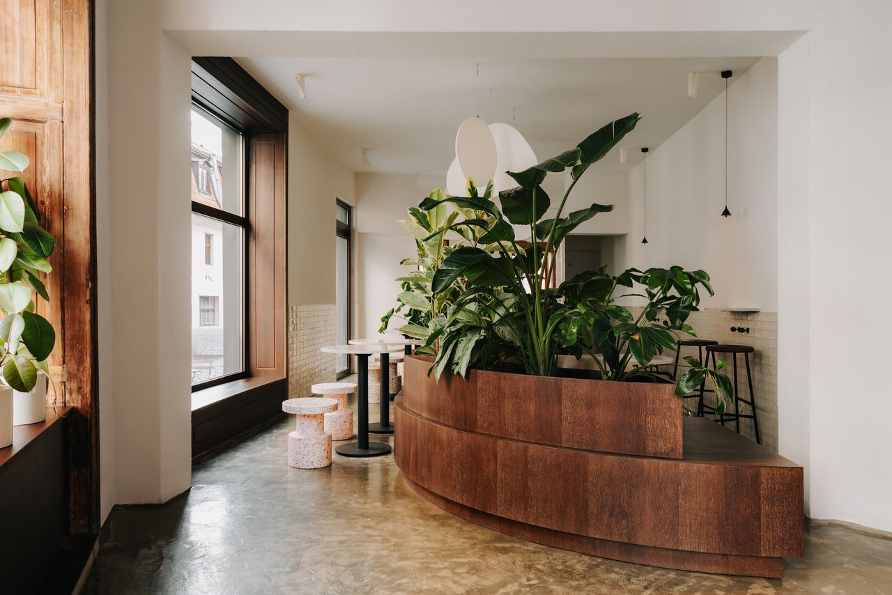 "Napar" - siedem lat historii dobrej kawy [wywiad]