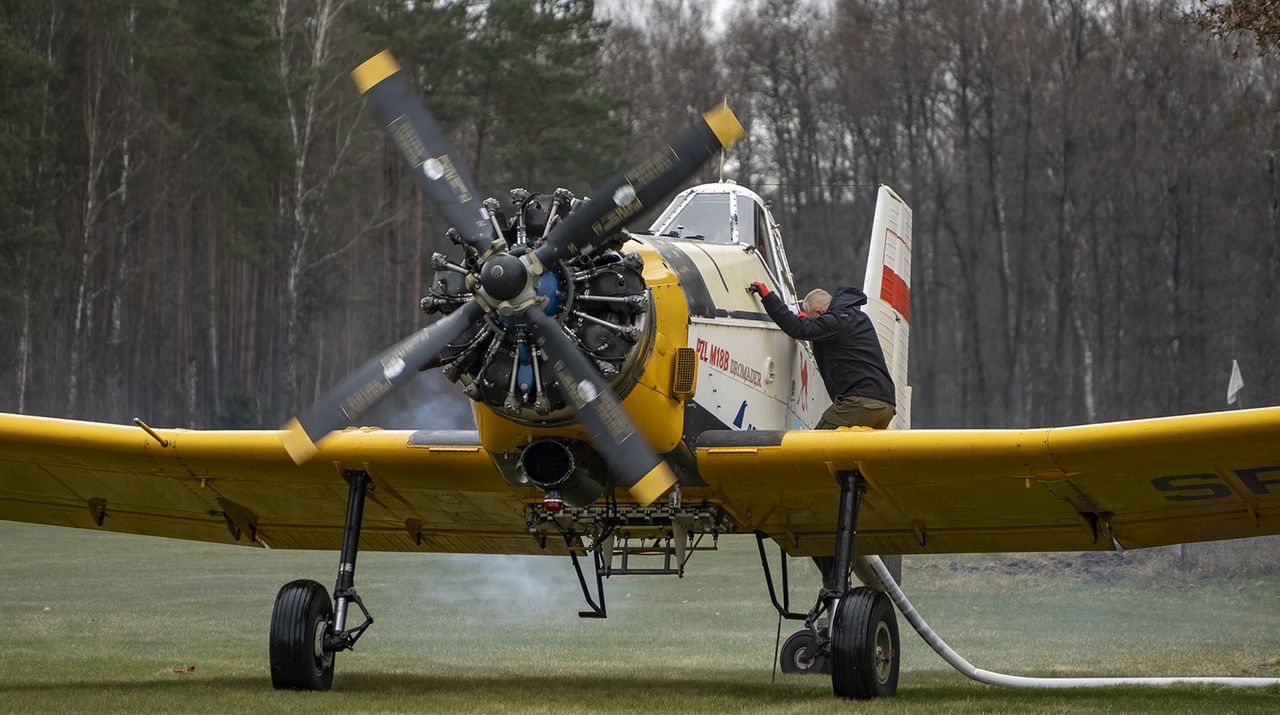 Dromadery już w Krępsku i Herburtowie – strażnicy naszych lasów powrócili!