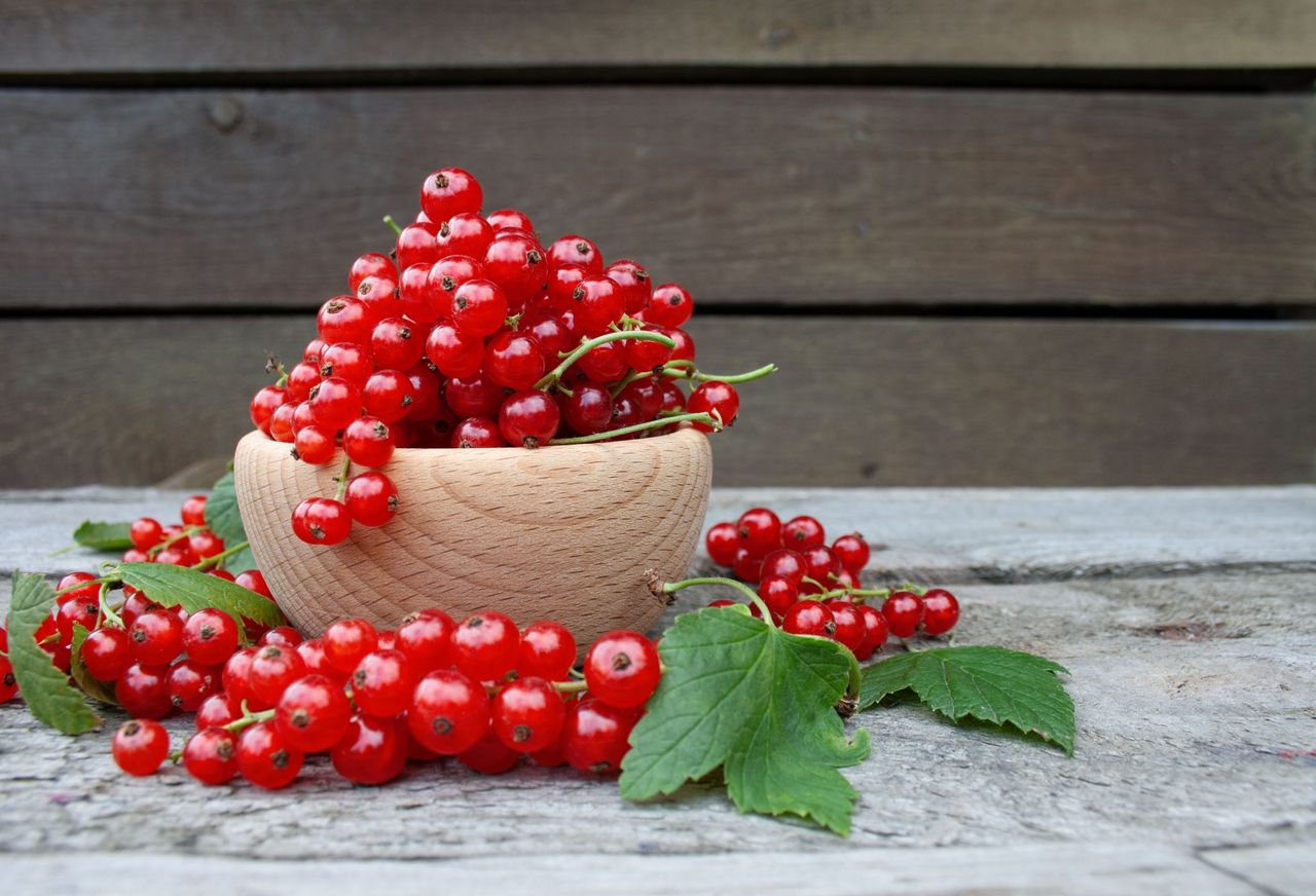 Kruchy placek z porzeczkami