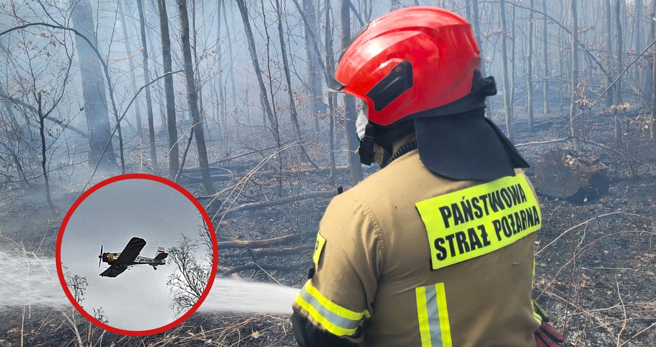 Pożar lasu pod Tucznem. Ogień objął hektary terenu