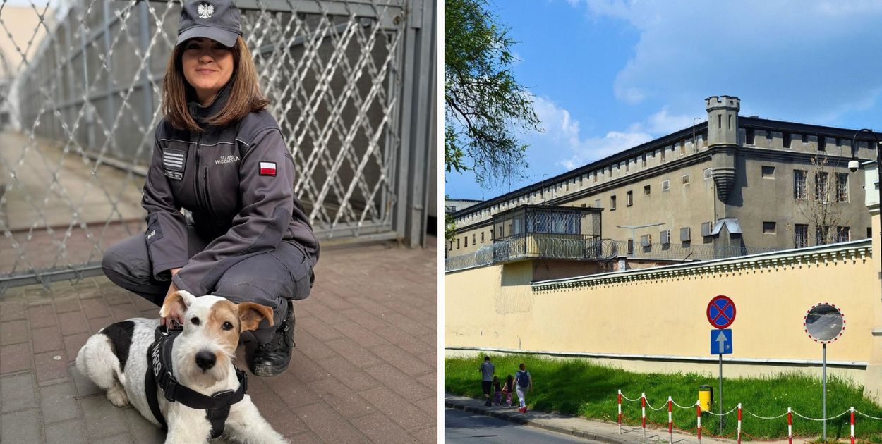 Bohaterska reakcja funkcjonariuszki w Płocku. Przerwała przemoc wobec kobiety!