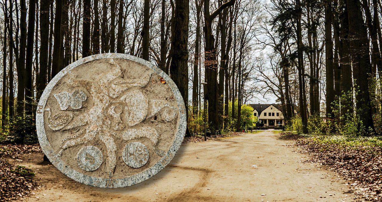 Achtstern – tajemnicza ośmioramienna gwiazda ukryta w złotowskim lesie. Wiedziałeś o tym?