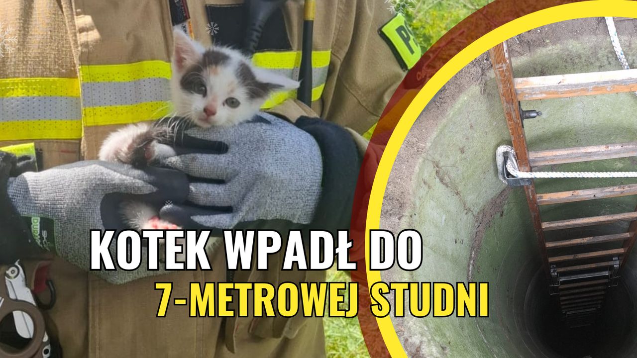 Kot uwięziony w 7-metrowej studni!