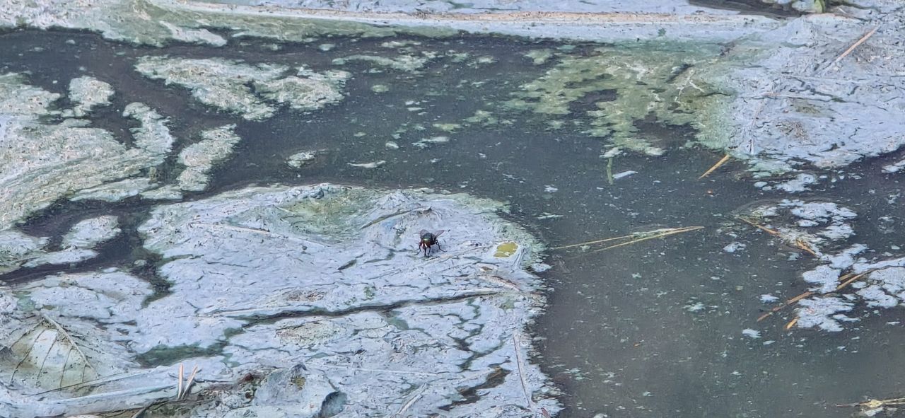 Jezioro Soczewka niszczeje. Co na to Wody Polskie?