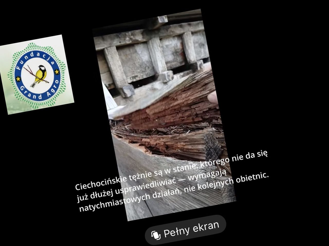 "Ekolodzy" zaangażowani w referendum niszczyli ciechocińskie tężnie! [śledztwo dziennikarskie]