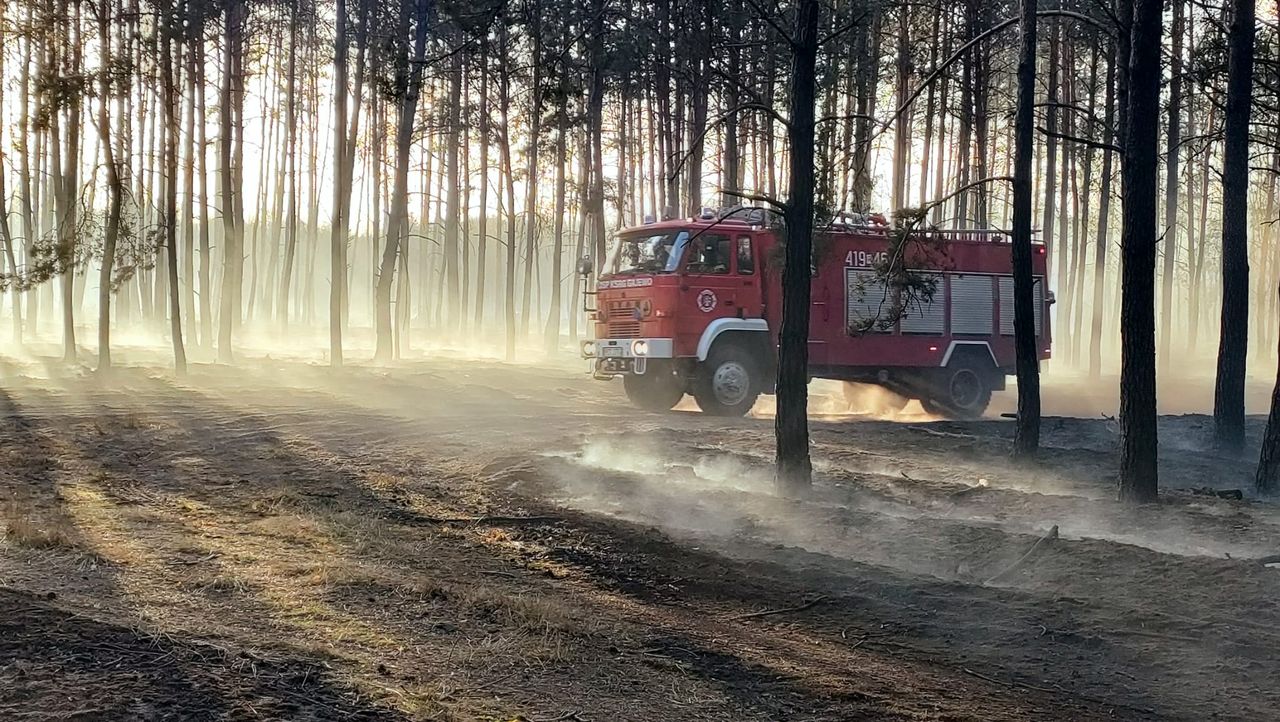Potężny pożar w okolicy Biernatowa. Spłonęło 18 ha lasu