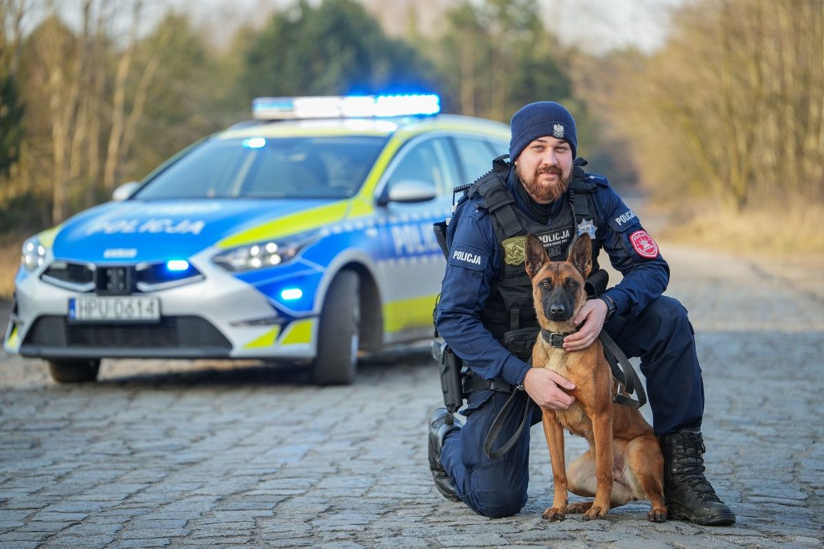 Poznajcie Szpilkę - nowego czworonożnego funkcjonariusza pilskiej Policji