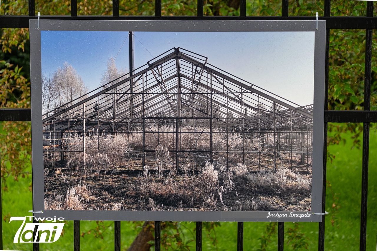 Niezwykłe zakątki Piły uchwycone na fotografiach