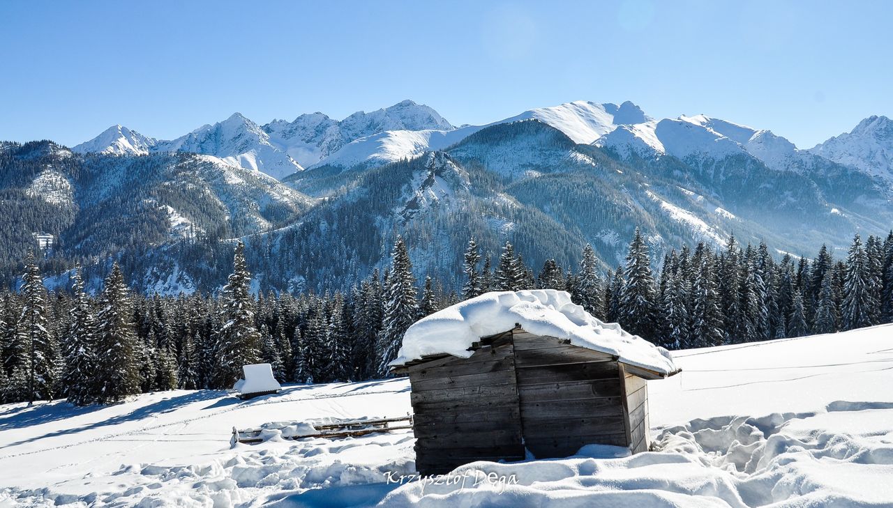Z Wierchu Poroniec na Rusinową Polanę i Gęsią Szyję