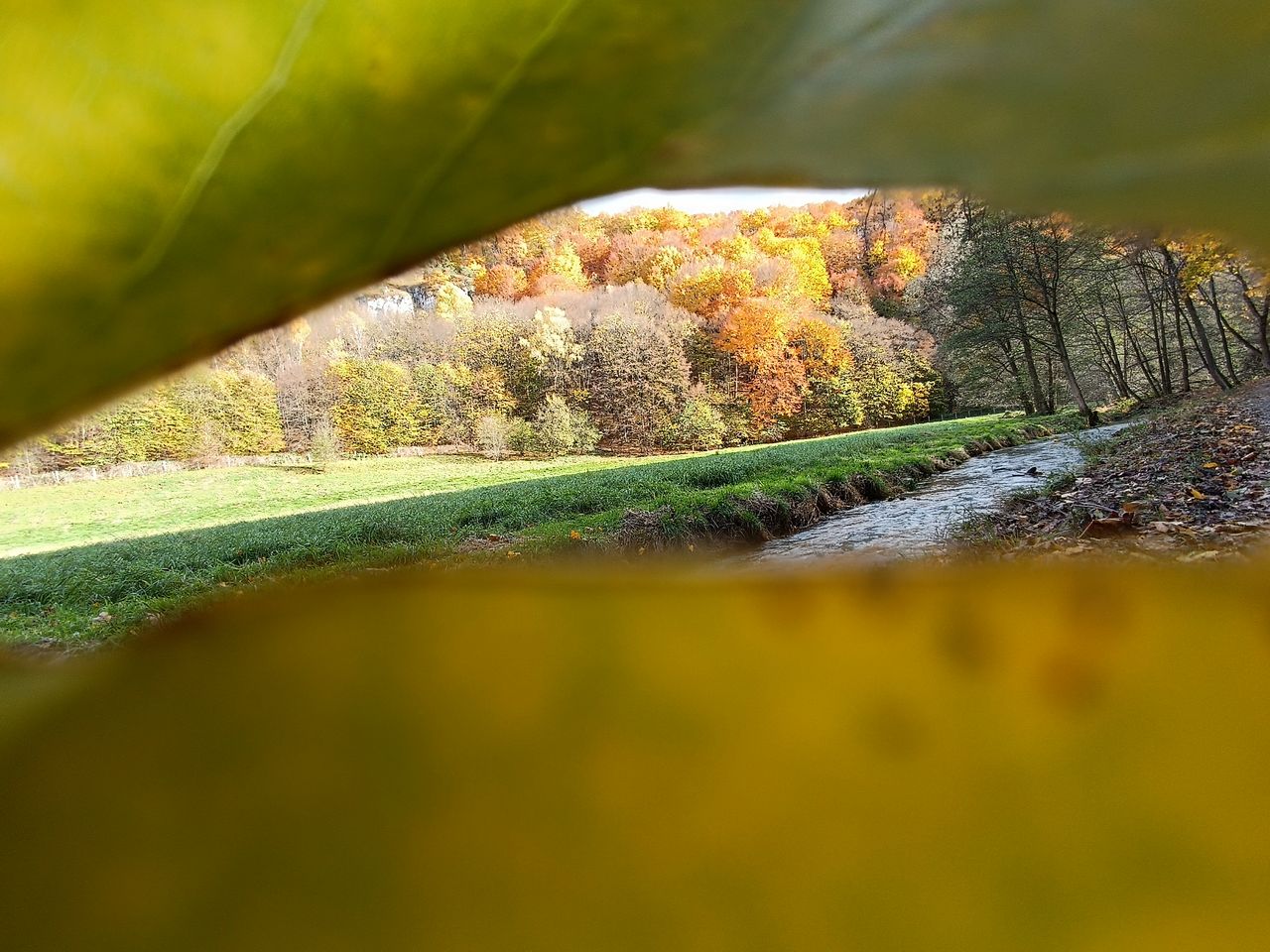 Złota Dolina Prądnika – jesień w Ojcowskim Parku Narodowym zachwyca