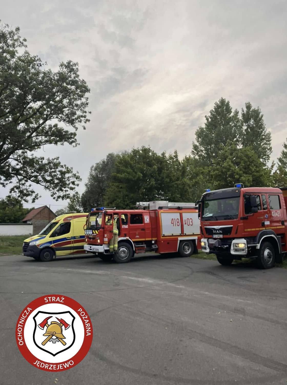 Tragiczny finał poszukiwań 38-latka ugryzionego przez szerszenia