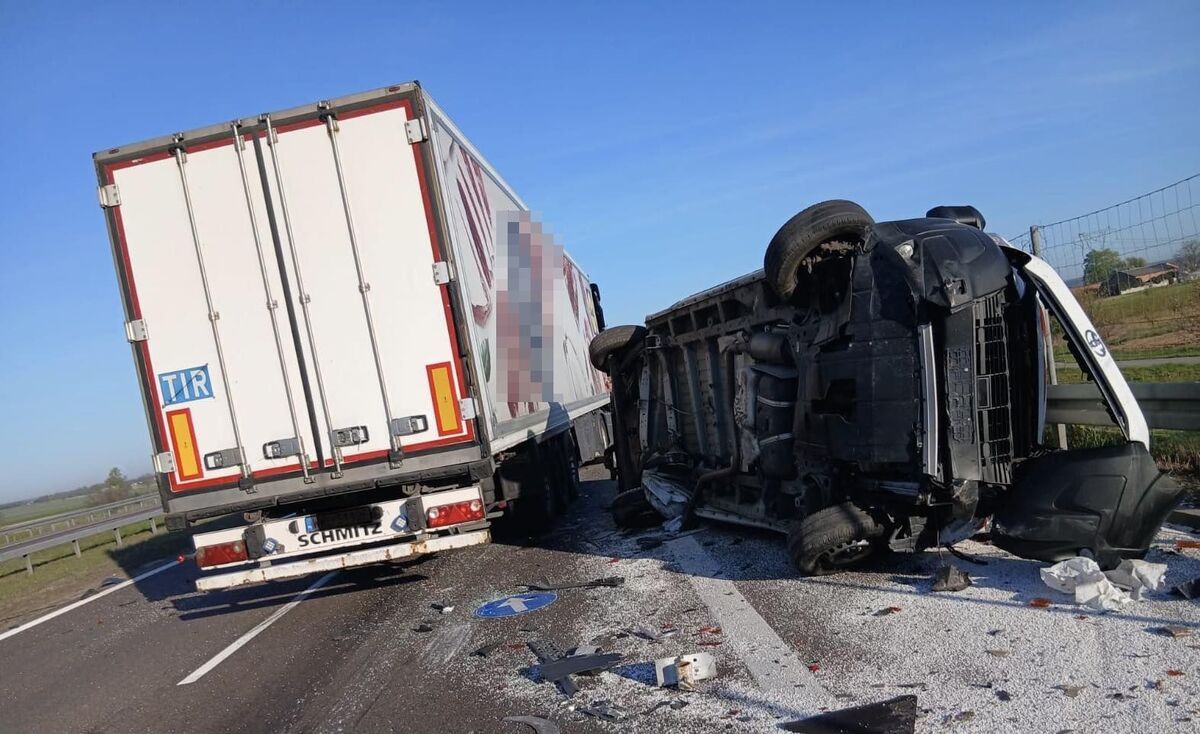 Seria zdarzeń na ekspresówce. Najpierw łoś, potem lawina kolizji – policjant trafił do szpitala