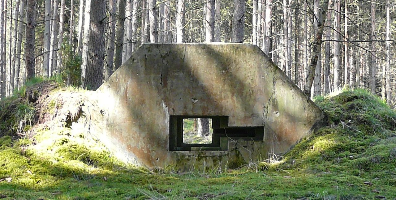 Tajemniczy fragment schronu "Heinrich" odnaleziony po latach