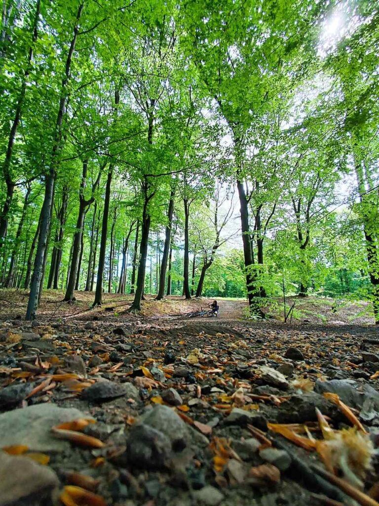 Czerwony szlak rowerowy nr 1 Katowice–Pszczyna. Najpiękniejsza trasa Śląska na dwa kółka