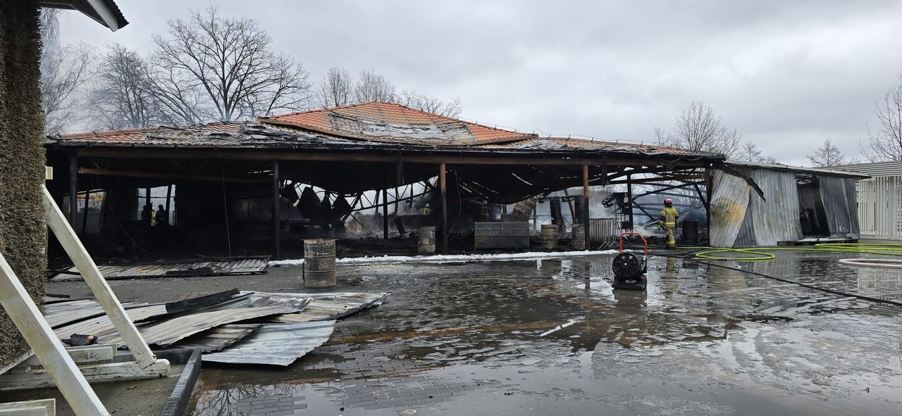Pożar na plaży Patelnia w Grabinie. Budynek doszczętnie spłonął!