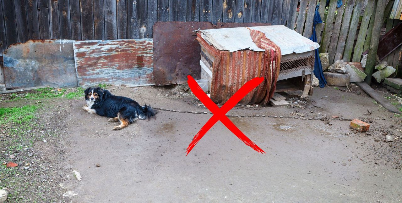 Ustawa łańcuchowa - co tak naprawdę oznacza?